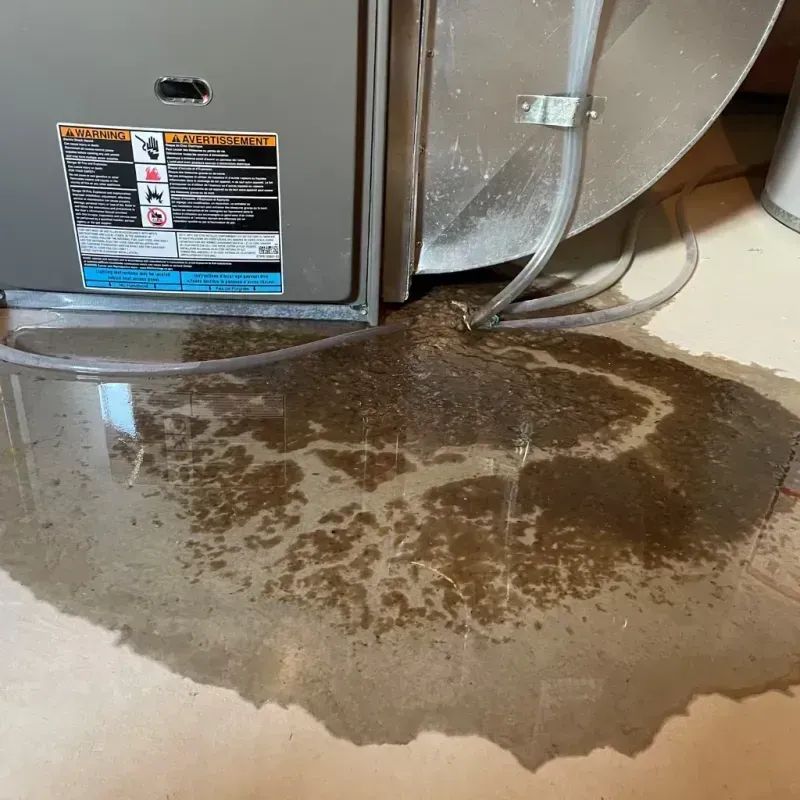 Appliance Leak Cleanup in Iota, LA